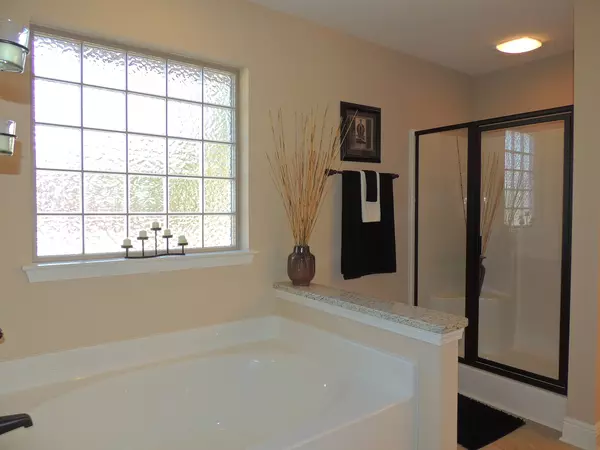 Bathroom Windows