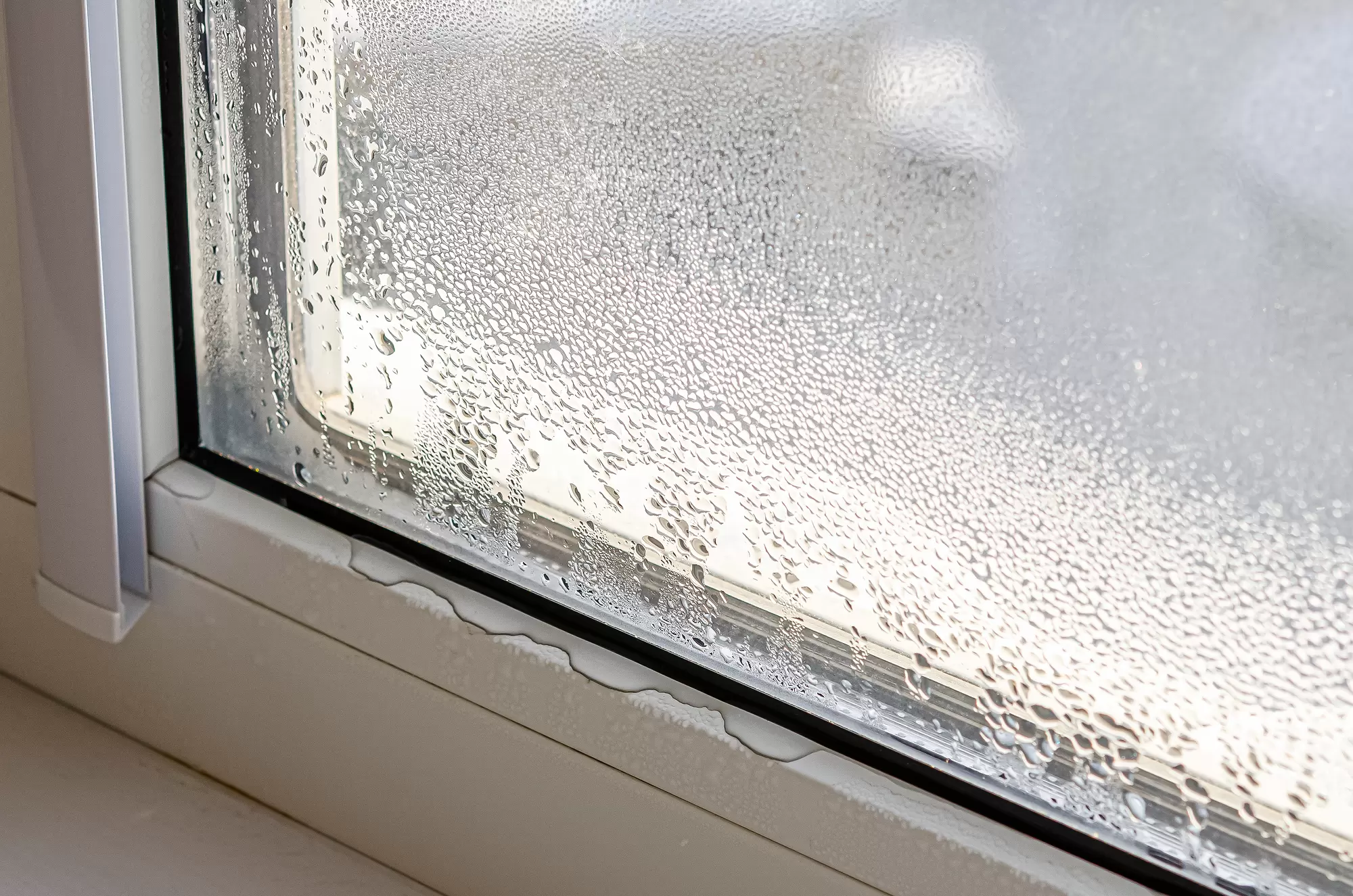 Condensation collected along the edge of a failing window seal.