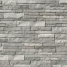 Stacked Stone - Glacier Bay