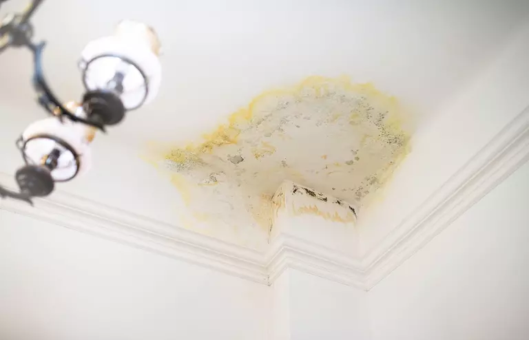 Damage to the ceiling from a snow leak.