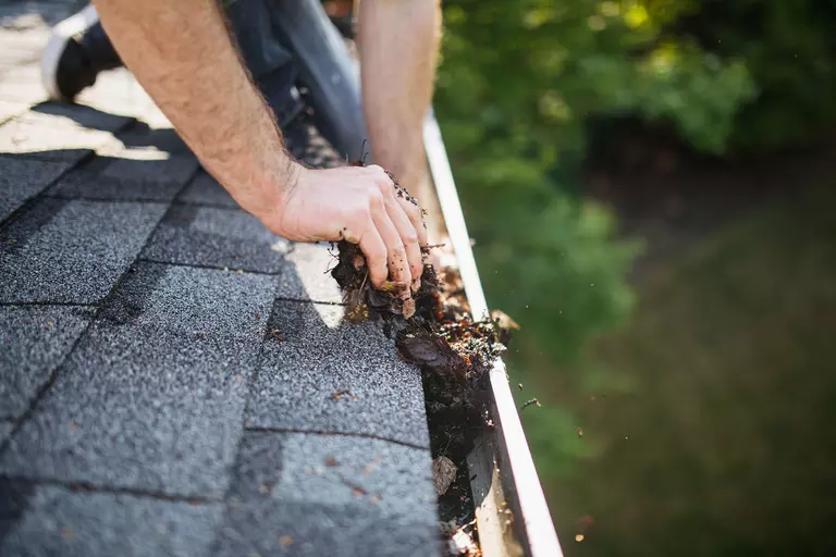 Closeup of a worker digging debris out of a clogged gutter.