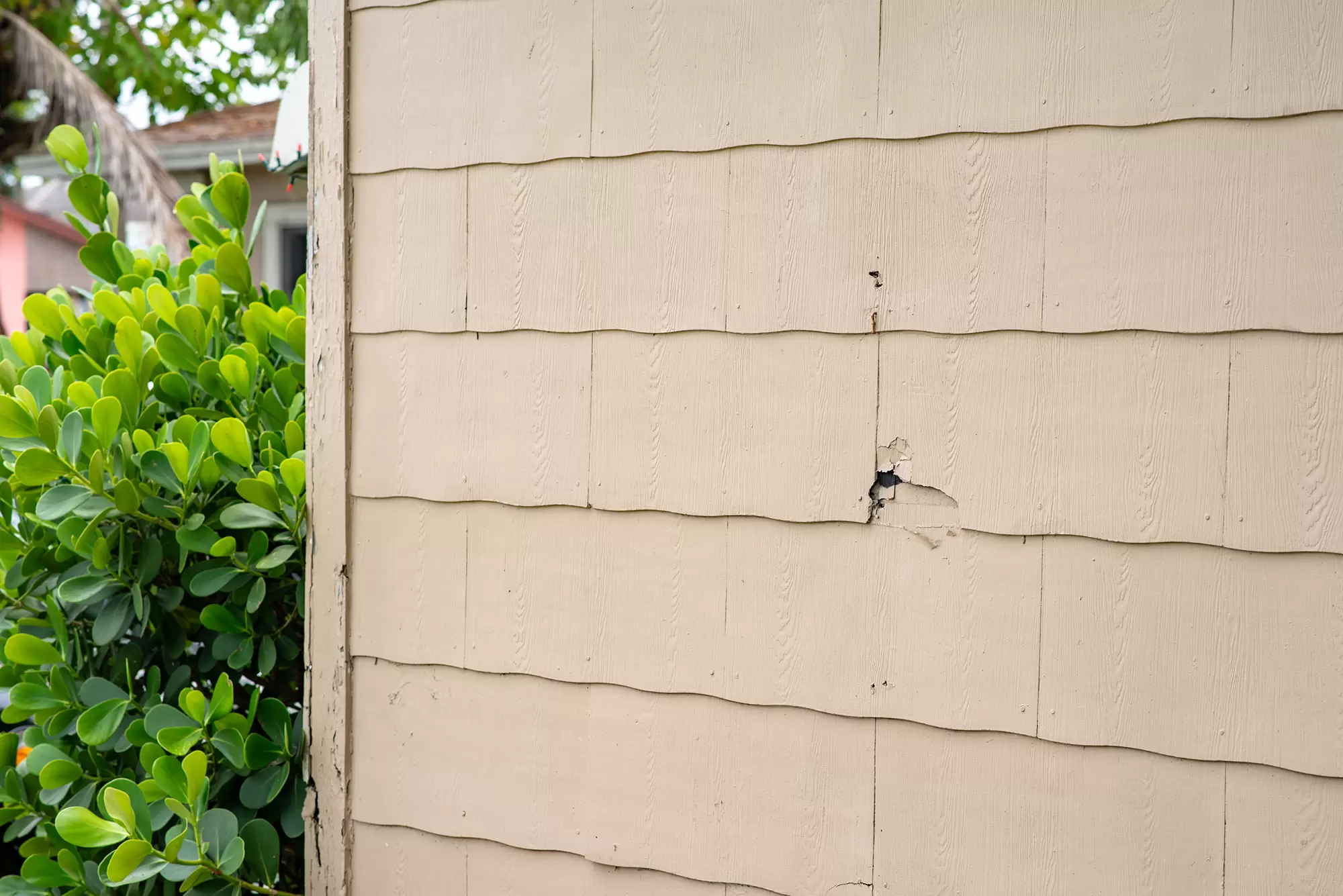 Cracked and chipped exterior siding.