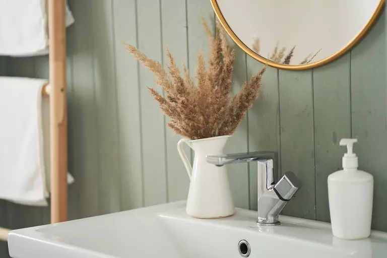 Close-up of a bathroom sink with hand soap and a small plant as bathroom décor.