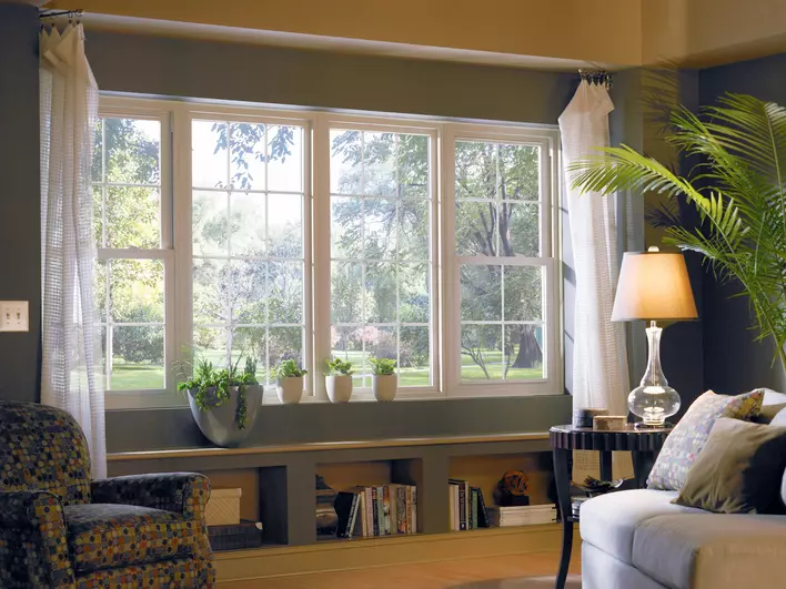 A sitting room lined with plants. A row of Low-E windows dominate one wall of the room.
