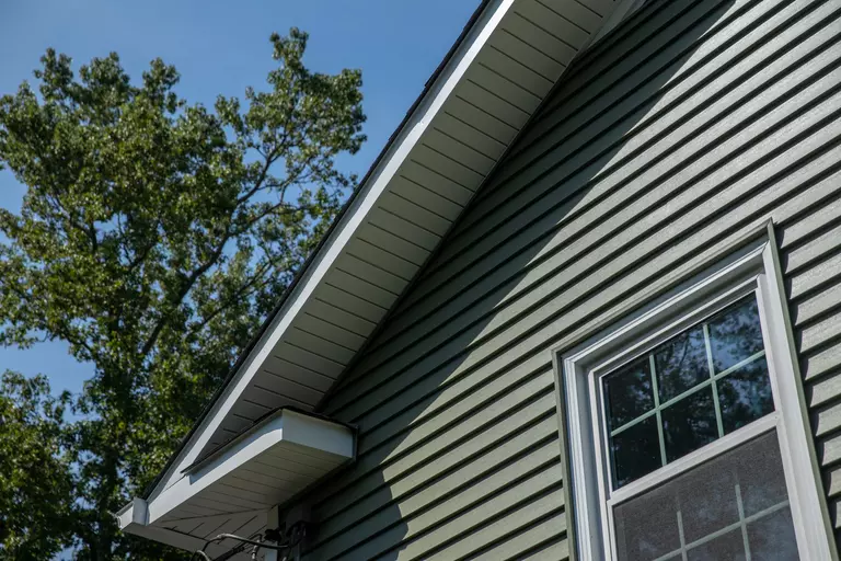 Home exterior shot of siding with a double-hung window in view and a tree shown.