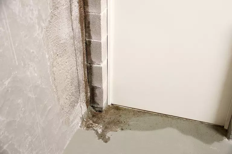 Water pooling shown at the foundation of a home due to overflowing gutter system.