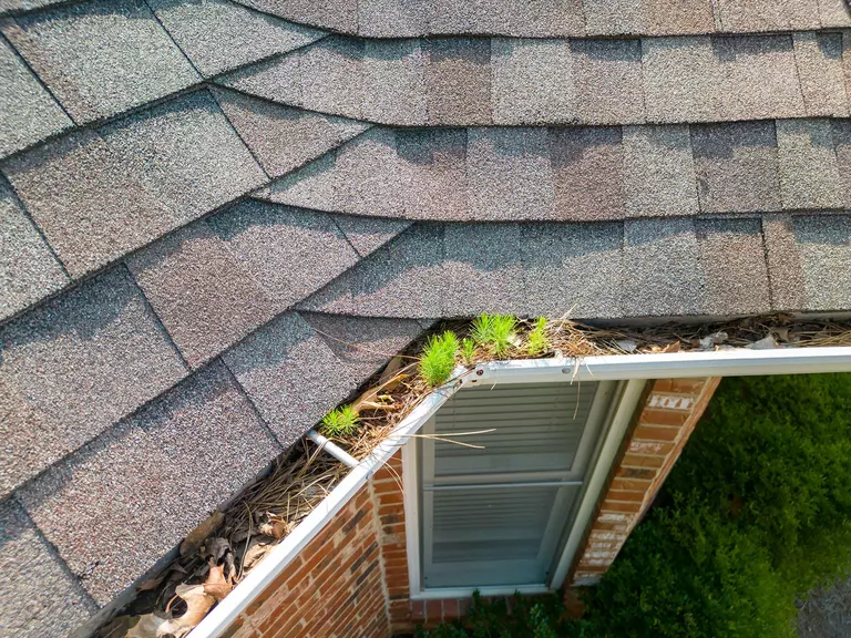 Gutters on a brick home that are filled to the top with pine straw, leaves, grass, and other debris.