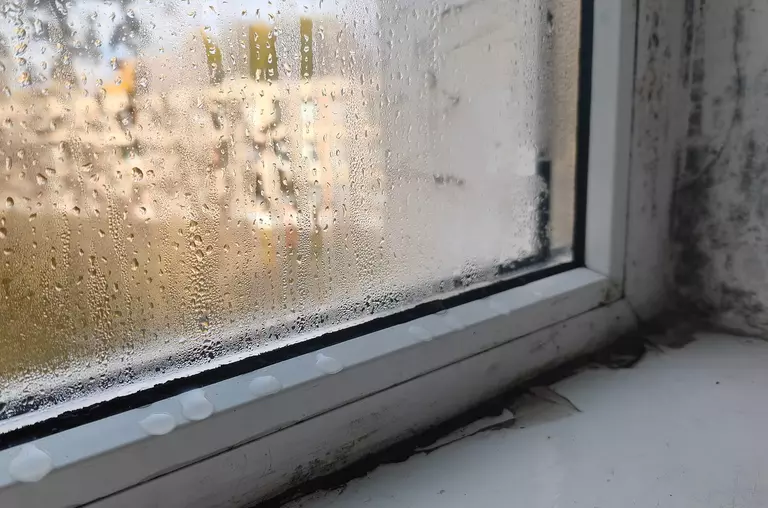 Close-up of a window with condensation on the pane and moisture around the frame.