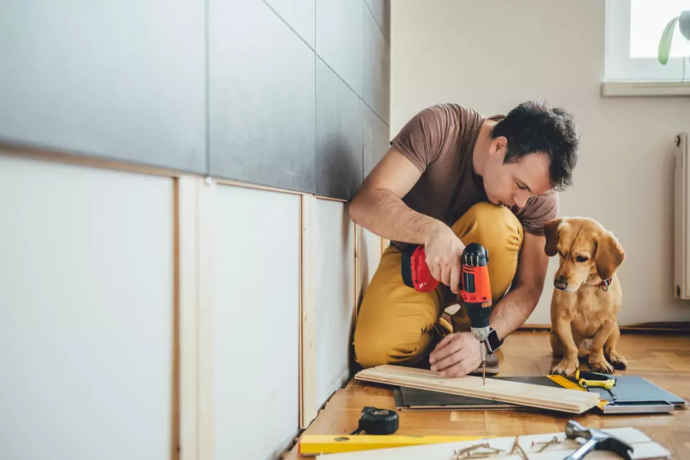Man doing DIY renovation in his home with his dog