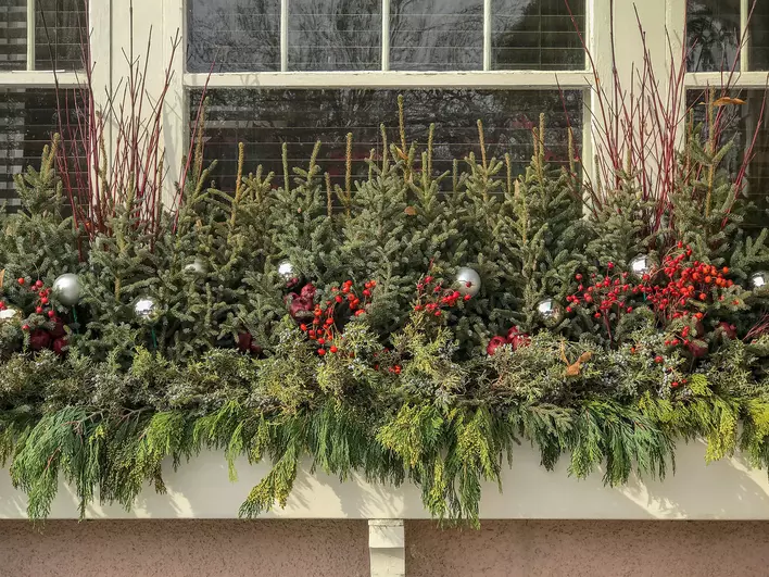 A window box decorated for the holiday season with local flowers, herbs, and ornaments
to increase curb appeal for Christmas.