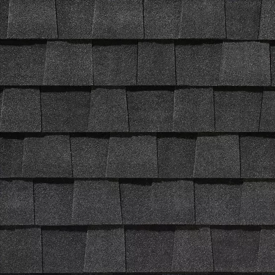 Charcoal Black