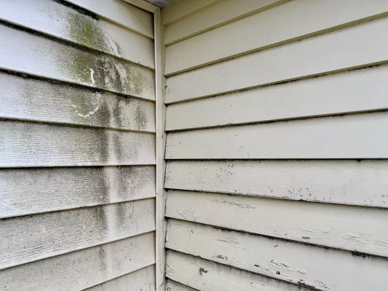 Close-up of old siding with mold and moisture damage.