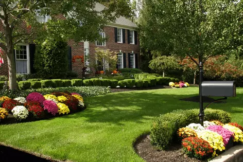 Mailbox flower bed