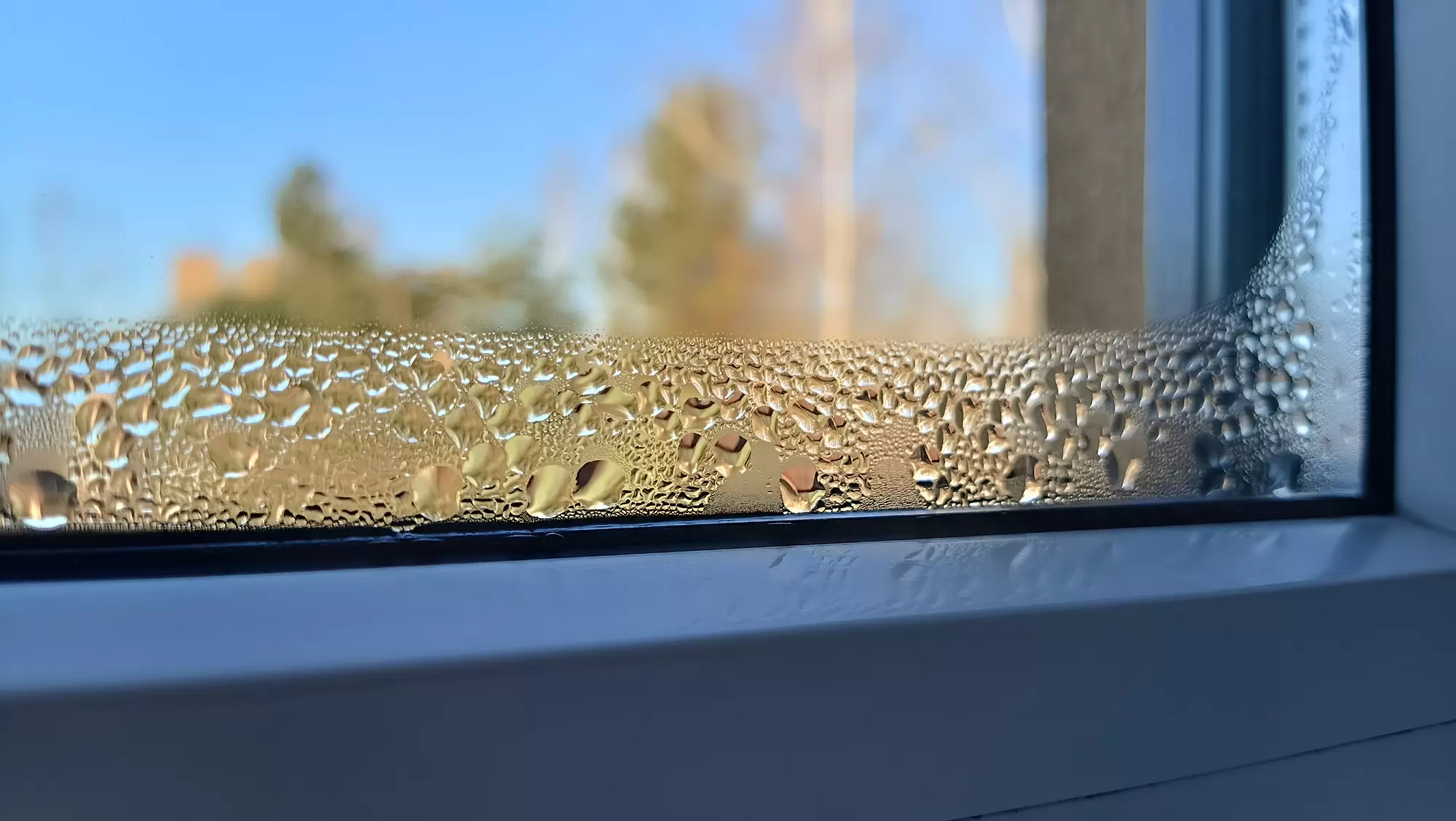 Condensation droplets along the bottom of a window pane on a cold, sunny day.