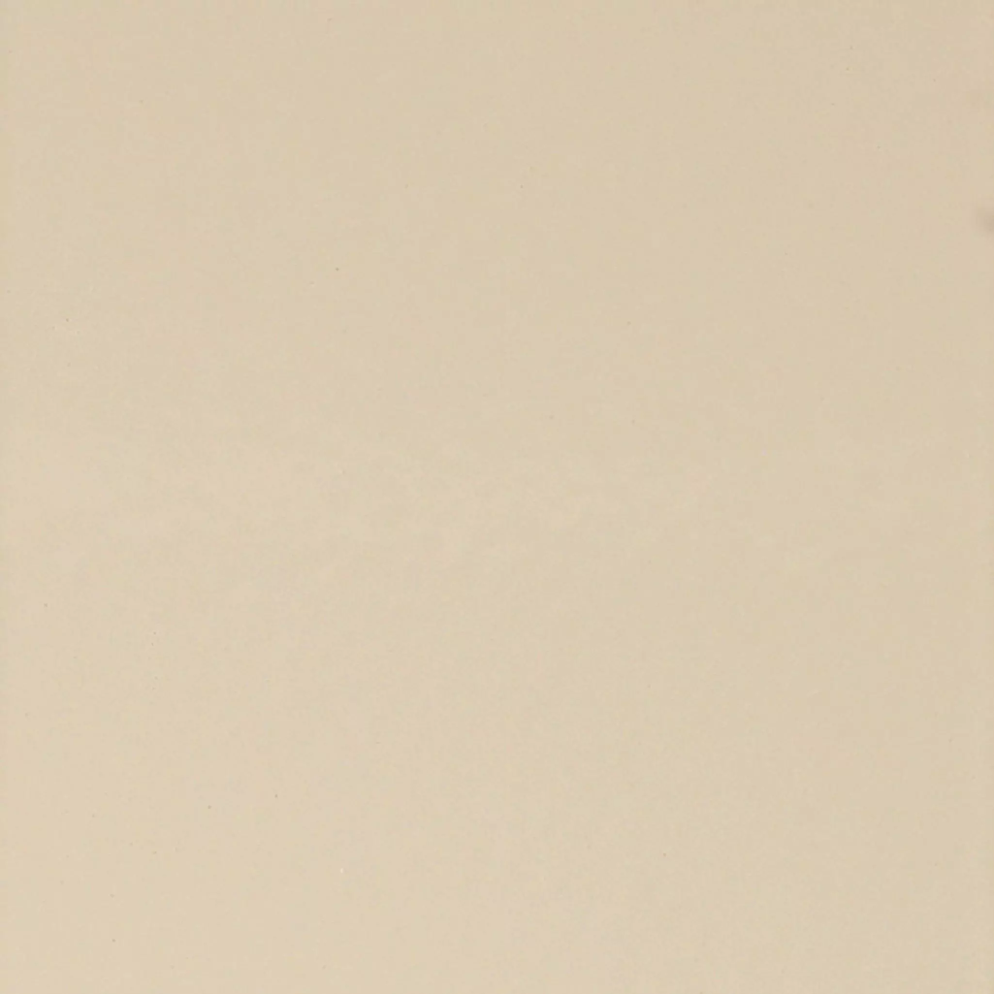 Interior Colors - Beige