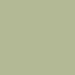 Paint - Luna Moth