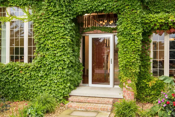 Window World Full View Storm Door