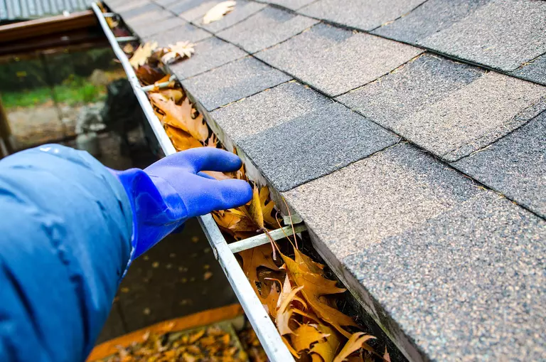 A person wearing a work glove reaches into a gutter to clean clogged leaves.