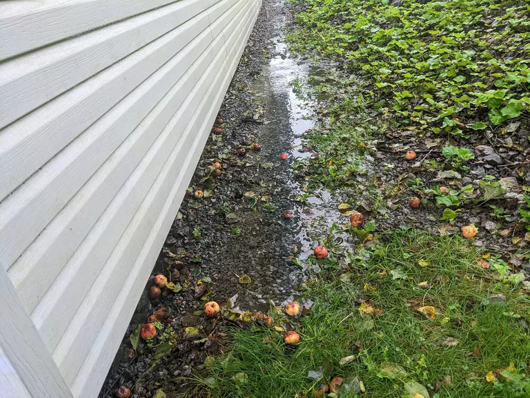 View of white vinyl siding on the base of a home with standing water and damp debris shown.