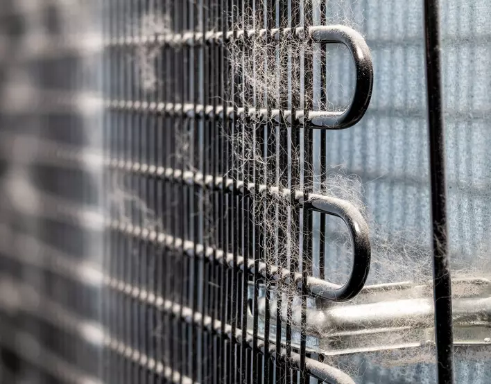 Close-up of dusty freezer coils.