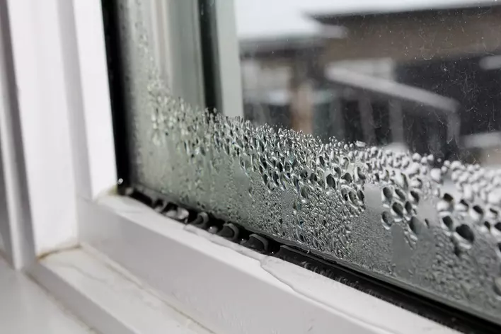 Condensation on the outside of a window in the winter. A nearby building is visible in the
            reflection above the condensation.