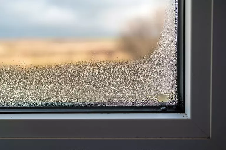 Close-up view of fog on the inside of windows in a home