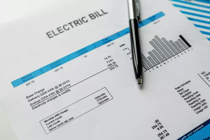 Electric bill showcasing electricity charges and credits