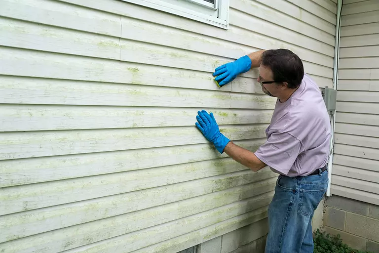 A man with gloves uses a sponge to scrub at green mold and mildew on a home’s exterior.
