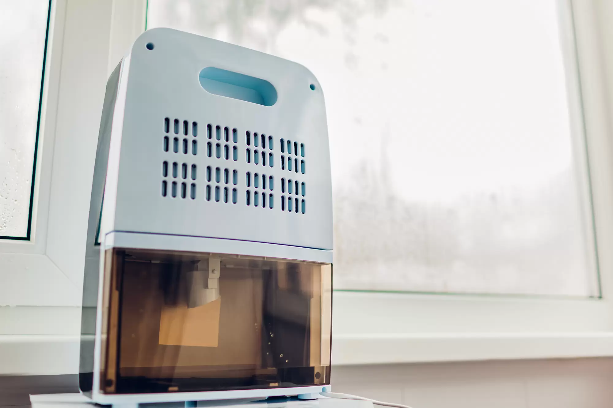Dehumidifier beside a window to help reduce indoor humidity.
