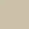 Interior Colors - Desert Clay