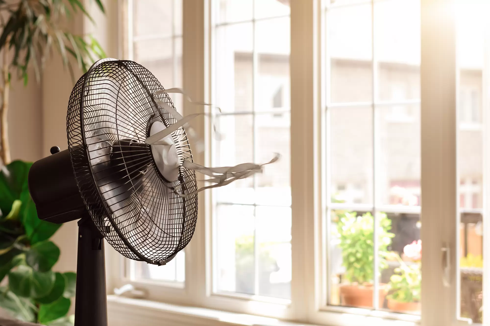 A fan running inside a home.
