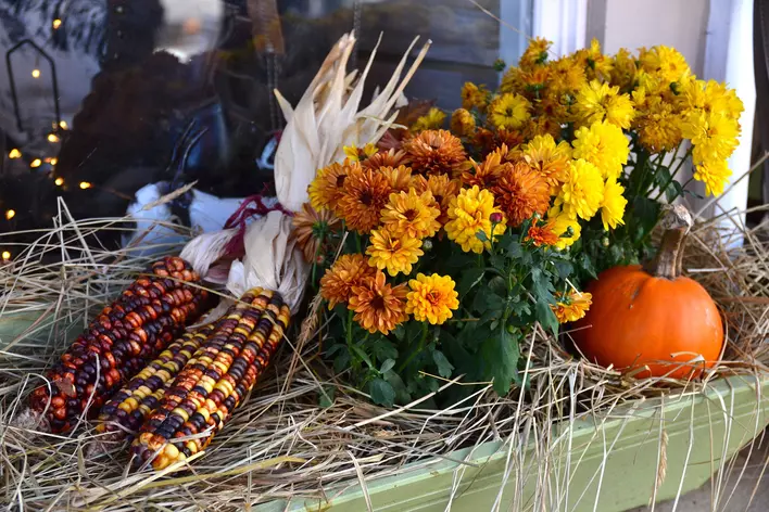 An autumn window box with yellow and orange flowers, cobs of corn, and miniature pumpkins on a bed of hay.