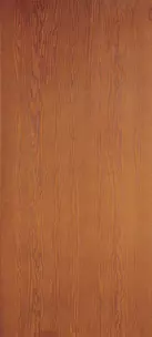 Doors without Glass - Flush