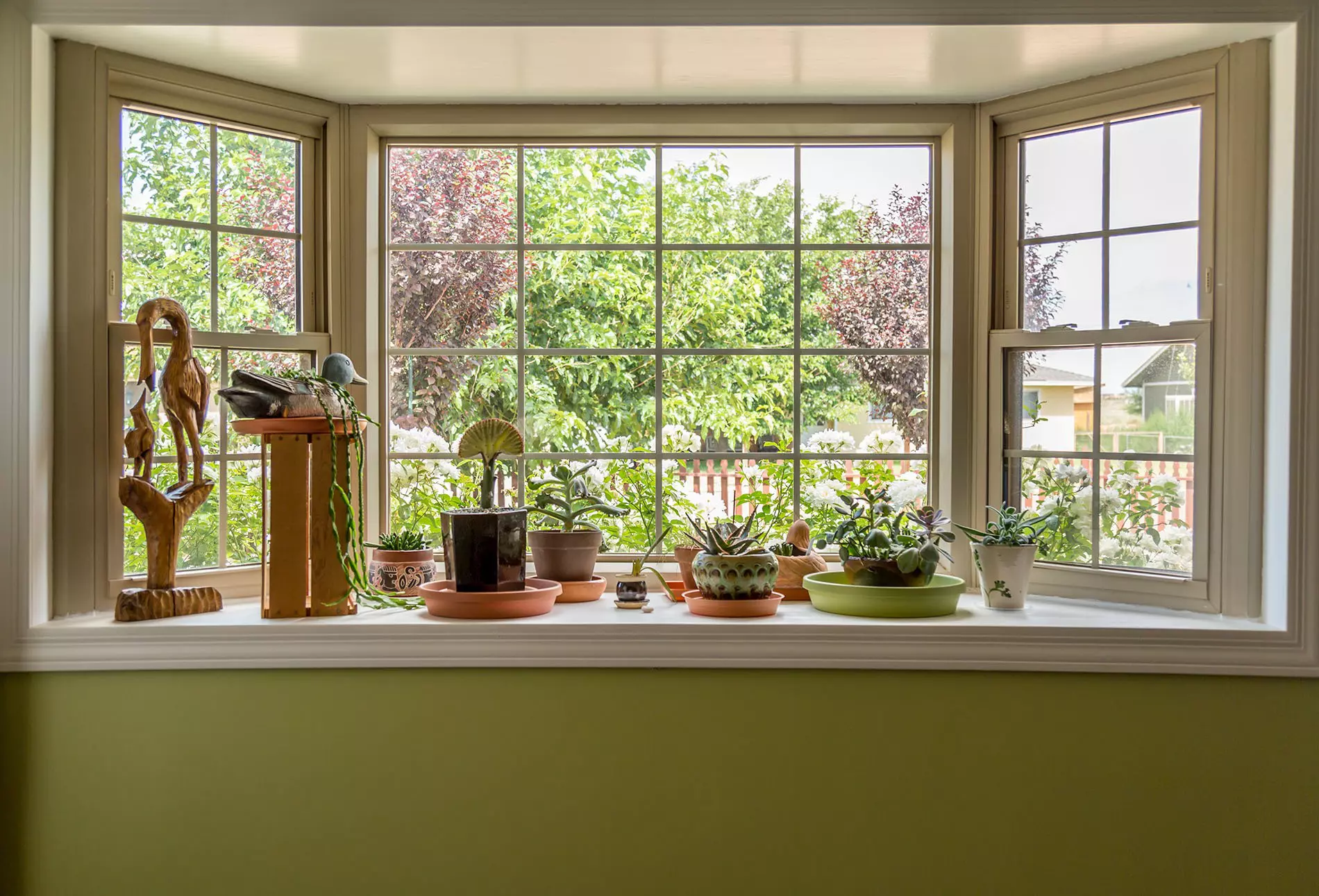 A group of house plants on a windowsill with the view of other trees and houses on the outside 