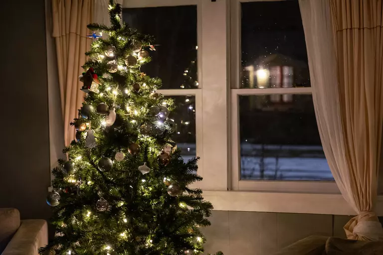 A Christmas tree inside a home and in front of white double-hung windows.