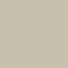 Exterior Colors - Champagne