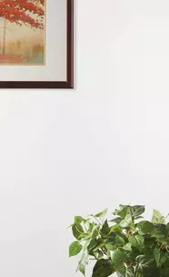 Decorative Glass Options - Low-E/Clear