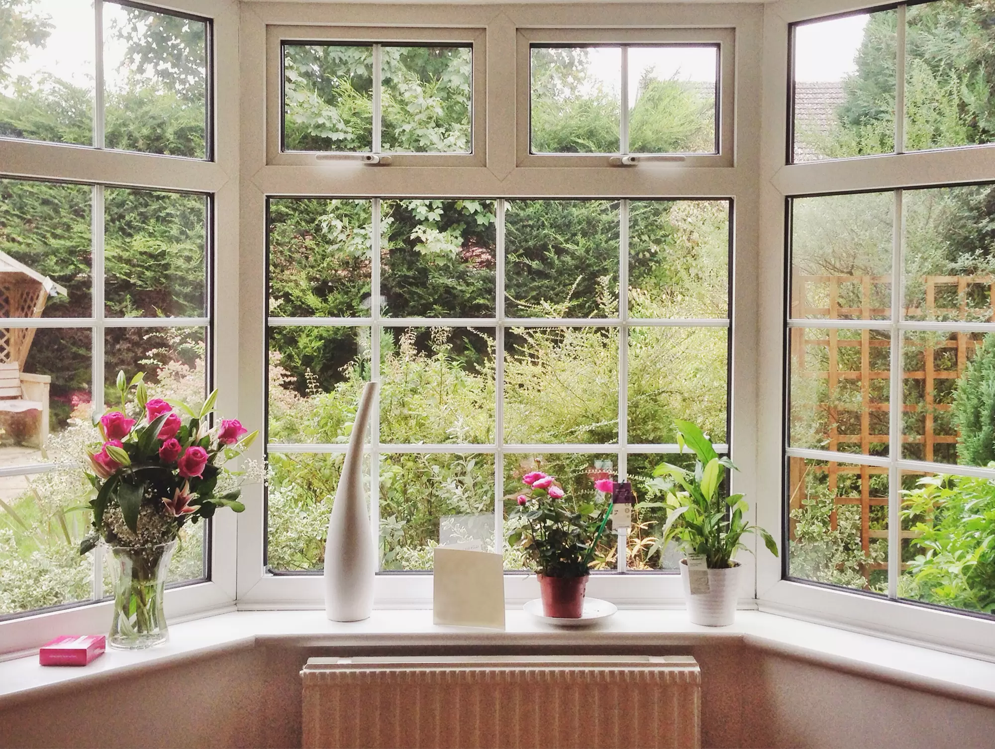 Bay window with decorations and a garden growing outside.