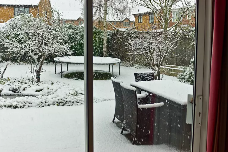A backyard being snowed on, seen through a set of sliding patio doors.