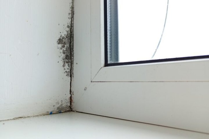 Condensation causes mold
