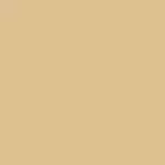 Color - Corn Silk