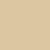 Interior Colors - Tan