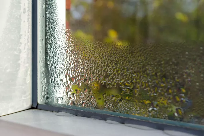Condensation buildup in a window