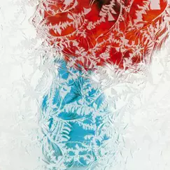 Glass Options - Glue Chip (Special Order)