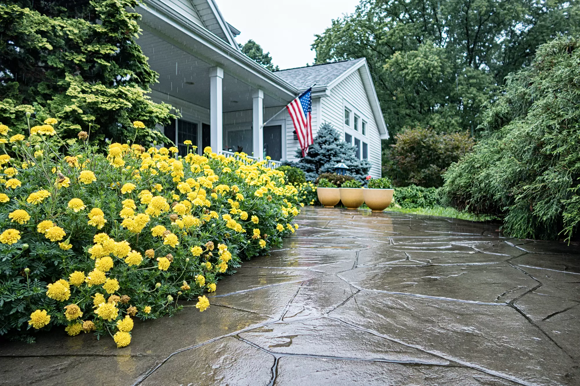 Front yard of a home with a damp walkway.