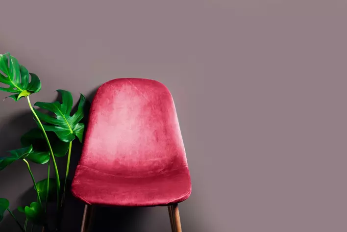 Modern chair upholstered with the Pantone 2023 Color of the Year, Viva Magenta, beside a Monstera