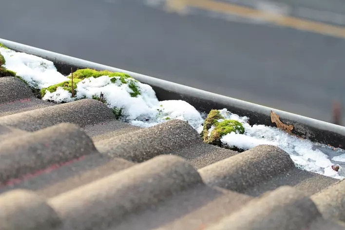 Grass, debris, and ice dams stuck in the gutters of a home, inhibiting the functionality of
the roof.