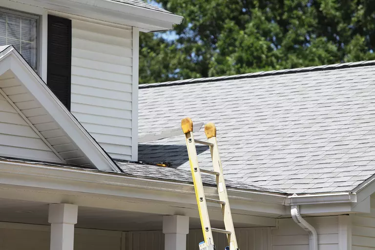 Roof of a home with a vinyl siding exterior and a ladder leaning on the gutter.