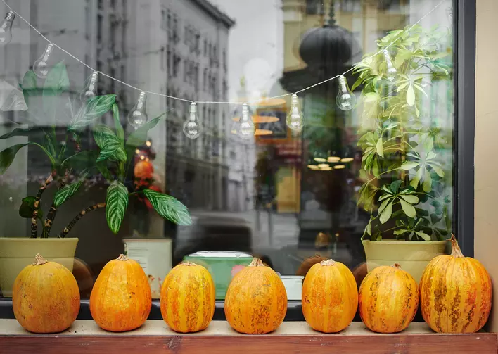 Miniature pumpkins lined across the windowsill of a large glass window in the city.