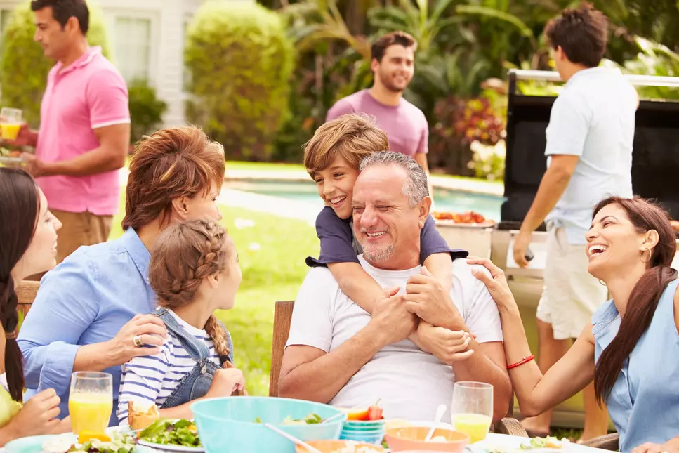 Family Enjoying Summer Backyard Party Window World Hero